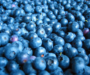 Blueberries
